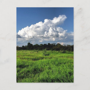 Carte Postale #mexico #losaltos #jalisco