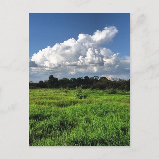 Carte Postale #mexico #losaltos #jalisco (Devant)