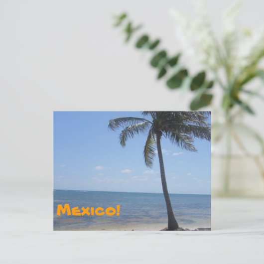 Carte Postale Mexique (Debout devant)