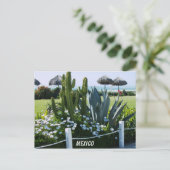 CARTE POSTALE MEXIQUE (Debout devant)