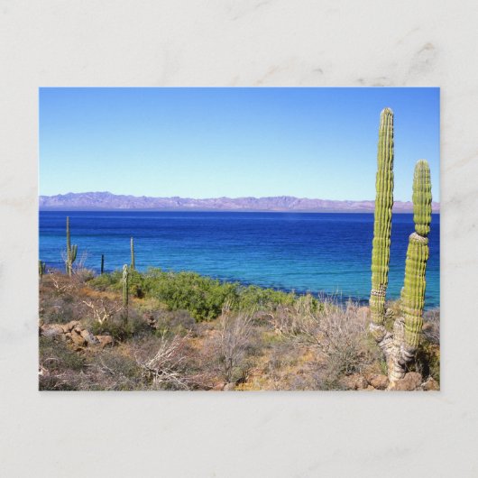 Carte Postale Mexique, Basse Californie Sur, Mulege, Bahia 2 (Devant)
