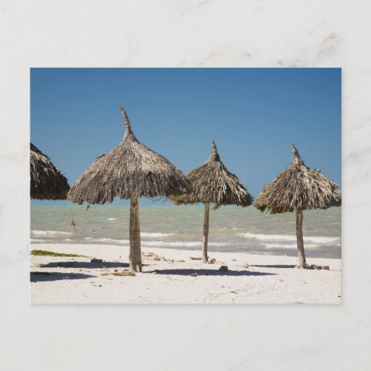 Carte Postale Mexique, péninsule du Yucatan, Progreso. Chaume (Devant)