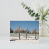 Carte Postale Mexique, péninsule du Yucatan, Progreso. Chaume (Debout devant)