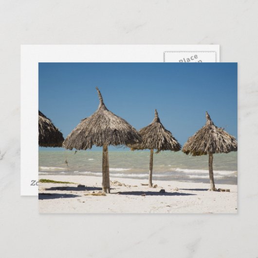 Carte Postale Mexique, péninsule du Yucatan, Progreso. Thatch (Devant / Derrière)