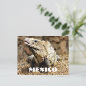 Carte Postale Mexique Reptile Wild Iguana (Debout devant)
