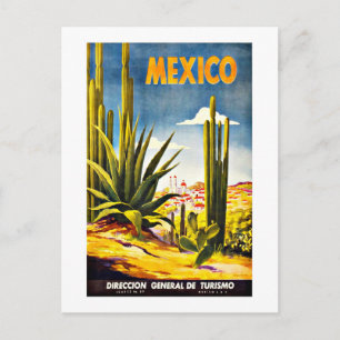 Carte Postale Mexique Vintage voyage Cactus