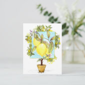 Carte Postale Meyer Lemon Tree Citrus Fruit Garden (Debout devant)