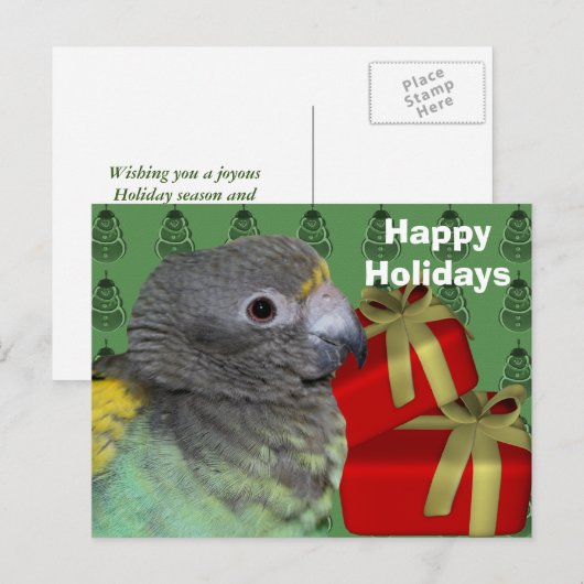 Carte postale Meyers Parrot Christmas Holiday (Devant / Derrière)