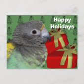 Carte postale Meyers Parrot Christmas Holiday (Devant)