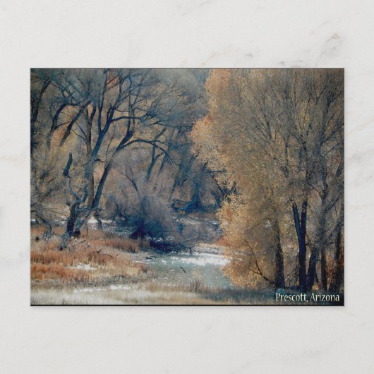 Carte Postale Mi Décembre 2010 Randonnée À Prescott, Arizona (Devant)