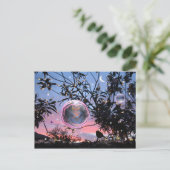 Carte Postale Mi-été's Eve Fairy Bubbles! (Debout devant)