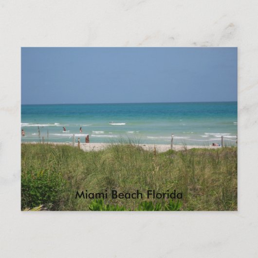 Carte Postale Miami Beach Floride (Devant)