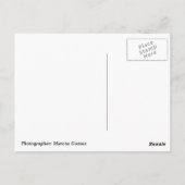 Carte Postale Miami FL (Dos)