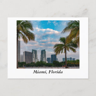 Carte Postale Miami Floride