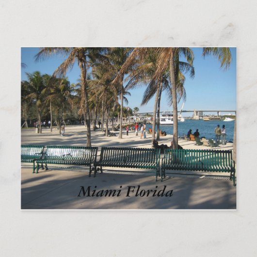 Carte Postale Miami Floride (Devant)
