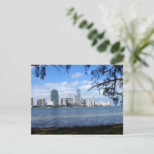 Carte Postale Miami Skyline (Debout devant)