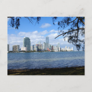Carte Postale Miami Skyline