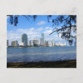Carte Postale Miami Skyline (Devant)