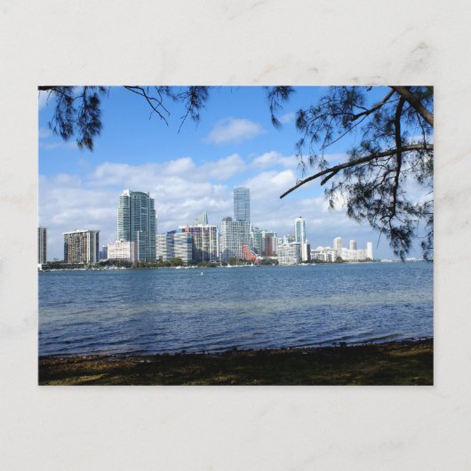 Carte Postale Miami Skyline (Devant)