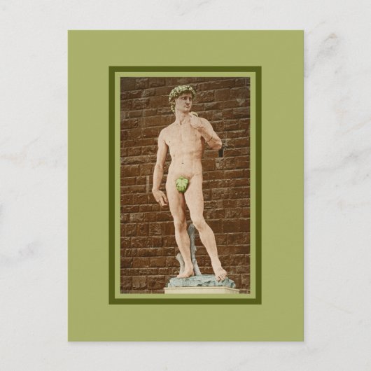 CARTE POSTALE MICHELANGELO DAVID AVEC FEUILLES DE FIGURE (Devant)