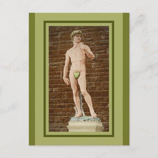 CARTE POSTALE MICHELANGELO DAVID AVEC FEUILLES DE FIGURE (Devant)