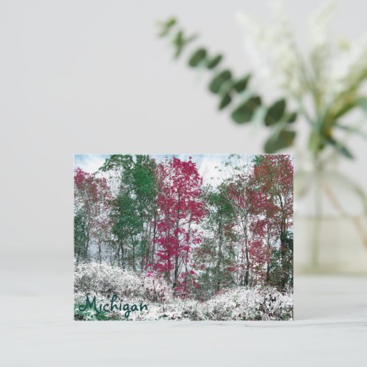 Carte Postale Michigan (Debout devant)
