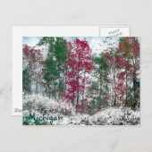 Carte Postale Michigan (Devant / Derrière)