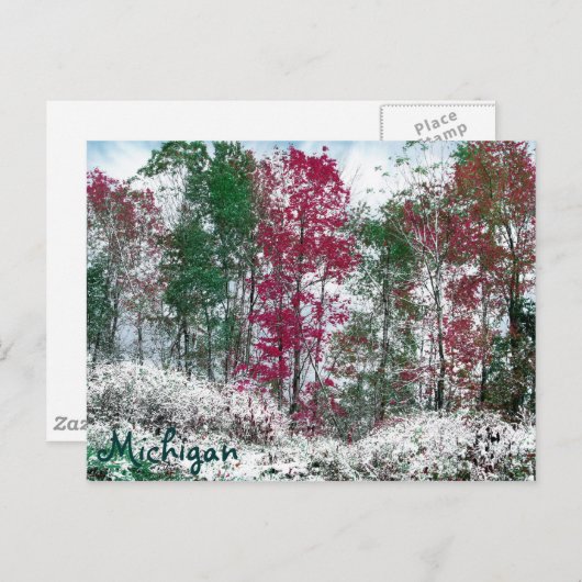 Carte Postale Michigan (Devant / Derrière)