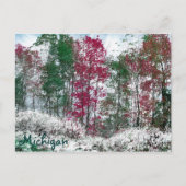Carte Postale Michigan (Devant)