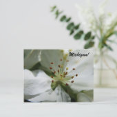 Carte Postale Michigan Apple Blossom (Debout devant)