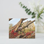 Carte Postale Michigan Barn and Fall Color (Debout devant)