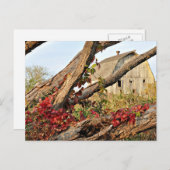 Carte Postale Michigan Barn and Fall Color (Devant / Derrière)