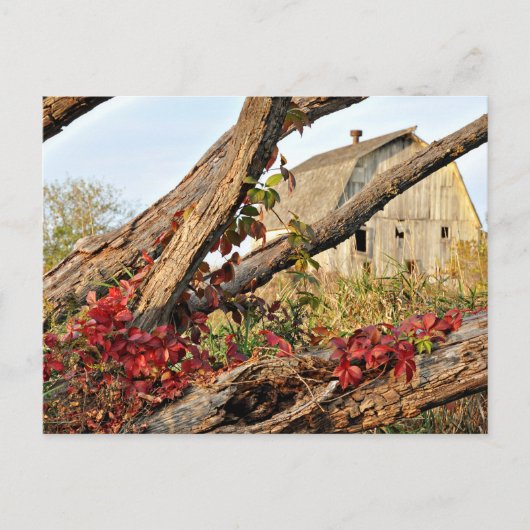 Carte Postale Michigan Barn and Fall Color (Devant)