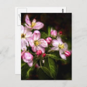 Carte postale Michigan Blooms (Devant / Derrière)