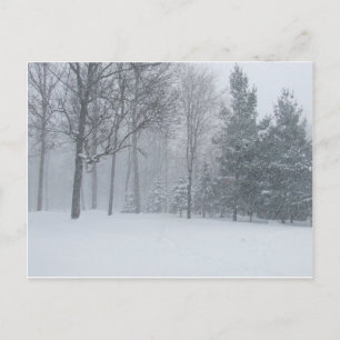 Carte Postale Michigan MI Neige D'Hiver Sur La Scène Des Arbres