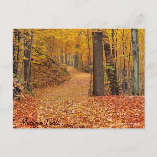 Carte Postale Michigan Trails (Devant)