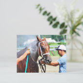 Carte Postale Michonne (Debout devant)