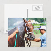 Carte Postale Michonne (Devant / Derrière)