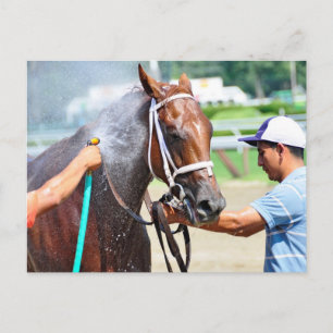 Carte Postale Michonne