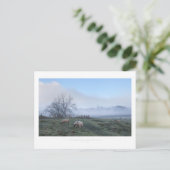 Carte Postale Mickleton, Cotswolds (Debout devant)