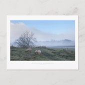 Carte Postale Mickleton, Cotswolds (Devant)