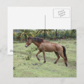 Carte Postale Micoud2 (Devant / Derrière)