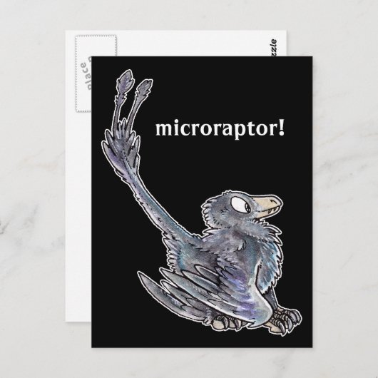 Carte postale Microraptor (Devant / Derrière)