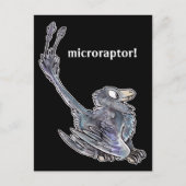 Carte postale Microraptor (Devant)