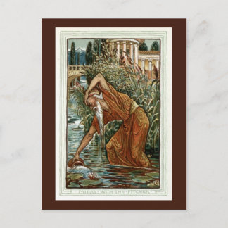 Carte Postale Midas avec le Pitcher