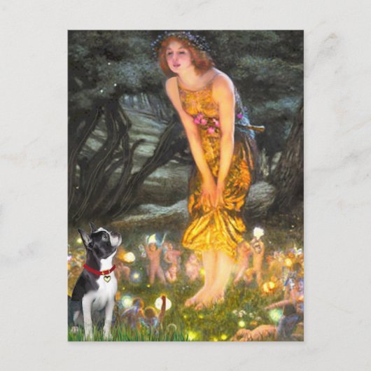 Carte Postale MidEve - Boston Terrier #2 (Devant)