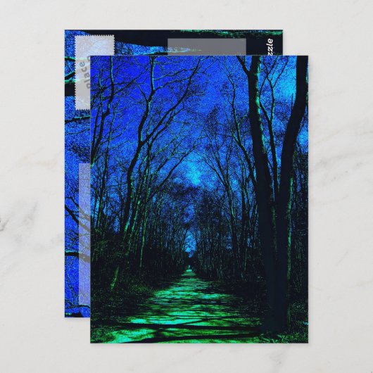 Carte Postale Midnight (Devant / Derrière)