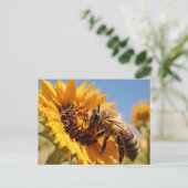Carte Postale Miel abeille polinant tournesol (Debout devant)