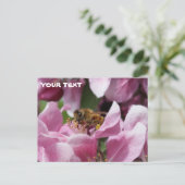 Carte Postale Miel Abeille Pollinant Crabelle Rose Fleuve Arbre (Debout devant)