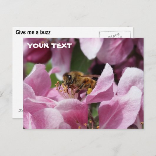 Carte Postale Miel Abeille Pollinant Crabelle Rose Fleuve Arbre (Devant / Derrière)